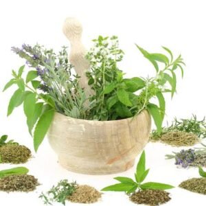 Herbalism :: Introduction & Medicine Making Certificate